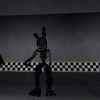 thebonniefan.2