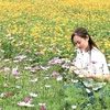 tnthinguyen0