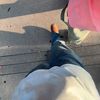 monty_1800