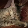 user_11012012