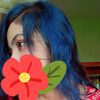 malihas341gmail.com