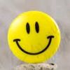 harry.ki.dewani