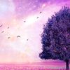 maryyousif8