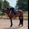 jonna_hastisar_12