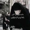 anooshy487