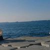 haneen.yousef42