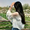 user441058204740
