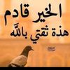 user4131213468173
