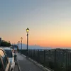 sofiapagano18