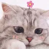 rahaf_ra35