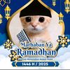 arbi345kiw02