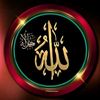 user_865_3