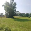 rheanmaedevera