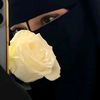 user340082842