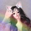 ansul_st