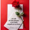 user72132235081606