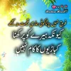 anaal981