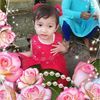 elah.cidaun