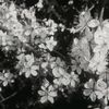 young_7192