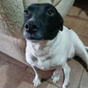 nubia.oficial8