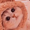 nurul_fadhilah8
