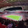 olibcfc