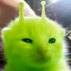 dayumgen