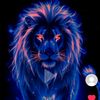user390662438