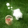haneen_0_7_27