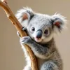 koalabears14