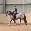 lexi.horses.xx