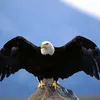 user4100819520476