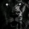 djknnliccuy