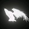 adel_shakirzyanov6