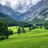 travelergoo