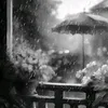 adw.com6