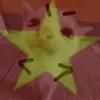 bun_cte73