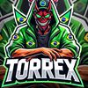 torex_yt2