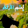 ibrahima.ngom53