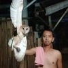 masthoharehare