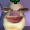 christillejeanula
