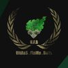 alahli478