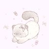 cintahamster