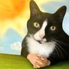 dhinker.8at.offic
