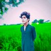 dilawar.king702