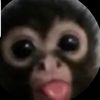monkey019.1