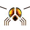flyzeye