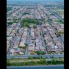shahmaltonfrnds