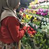 faradilla.annisa2