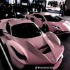 tylerserelina599